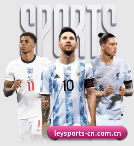 五大服务分区,信息按项目分类(LEYUSPORTS)